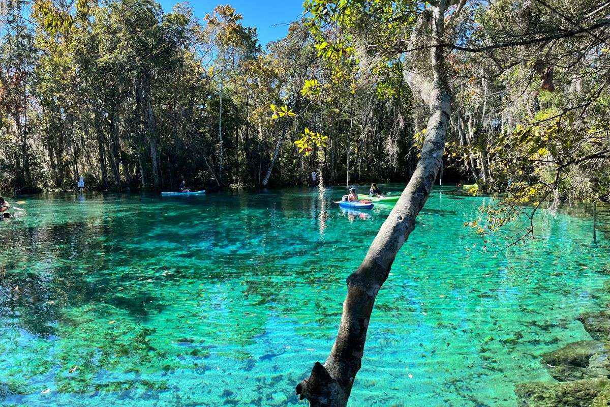 12 Natural Springs in Florida where you can Swim + Go Tubing